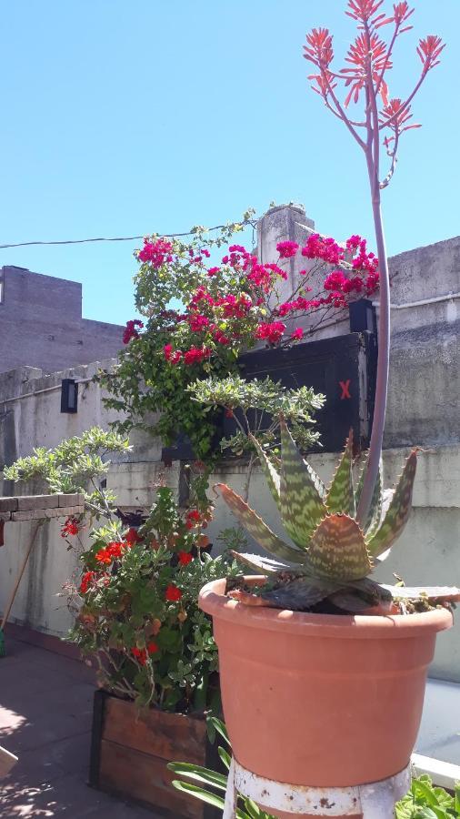 Hotel Kymani House Rosario Zewnętrze zdjęcie